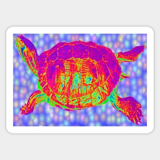 Psychedelic turtle Sticker